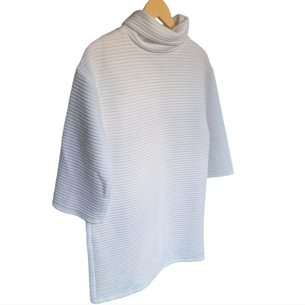 Zara White Ottoman Ribbed Sweater Dress Roll Neck Minimalist Women’s Sma… - Picture 2 of 16